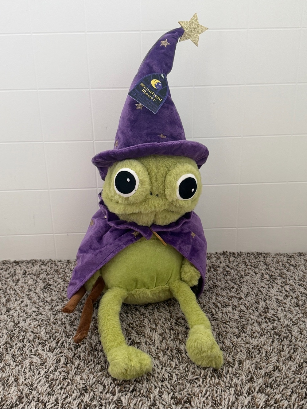 Moonlight Manor Wizard Frog Plush in Purple Cape and Hat
